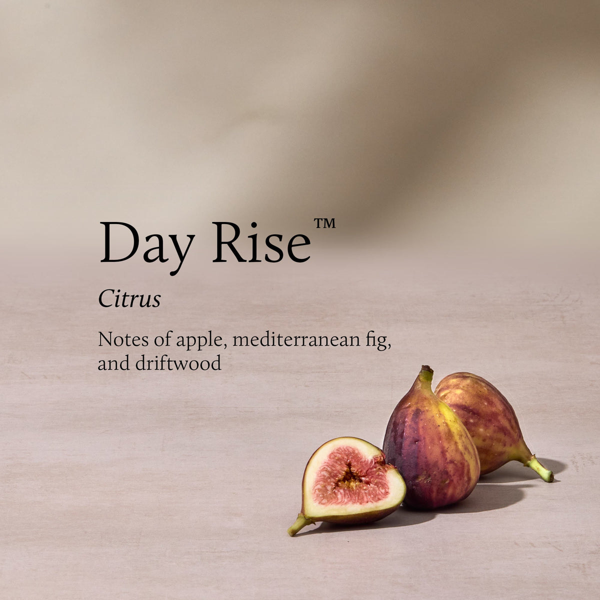 Day Rise 6.5 oz Poured Candle