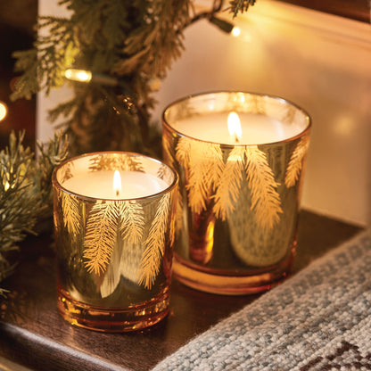 Frasier Fir® Gilded 13 oz Poured Candle